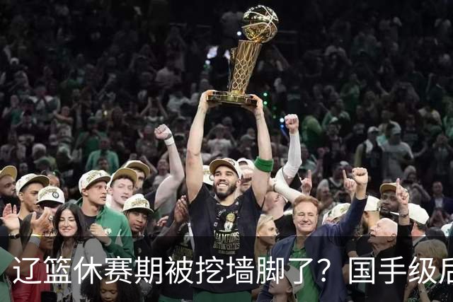 辽篮休赛期被挖墙脚了？国手级后卫恐被交易：变相逼着赵继伟走人